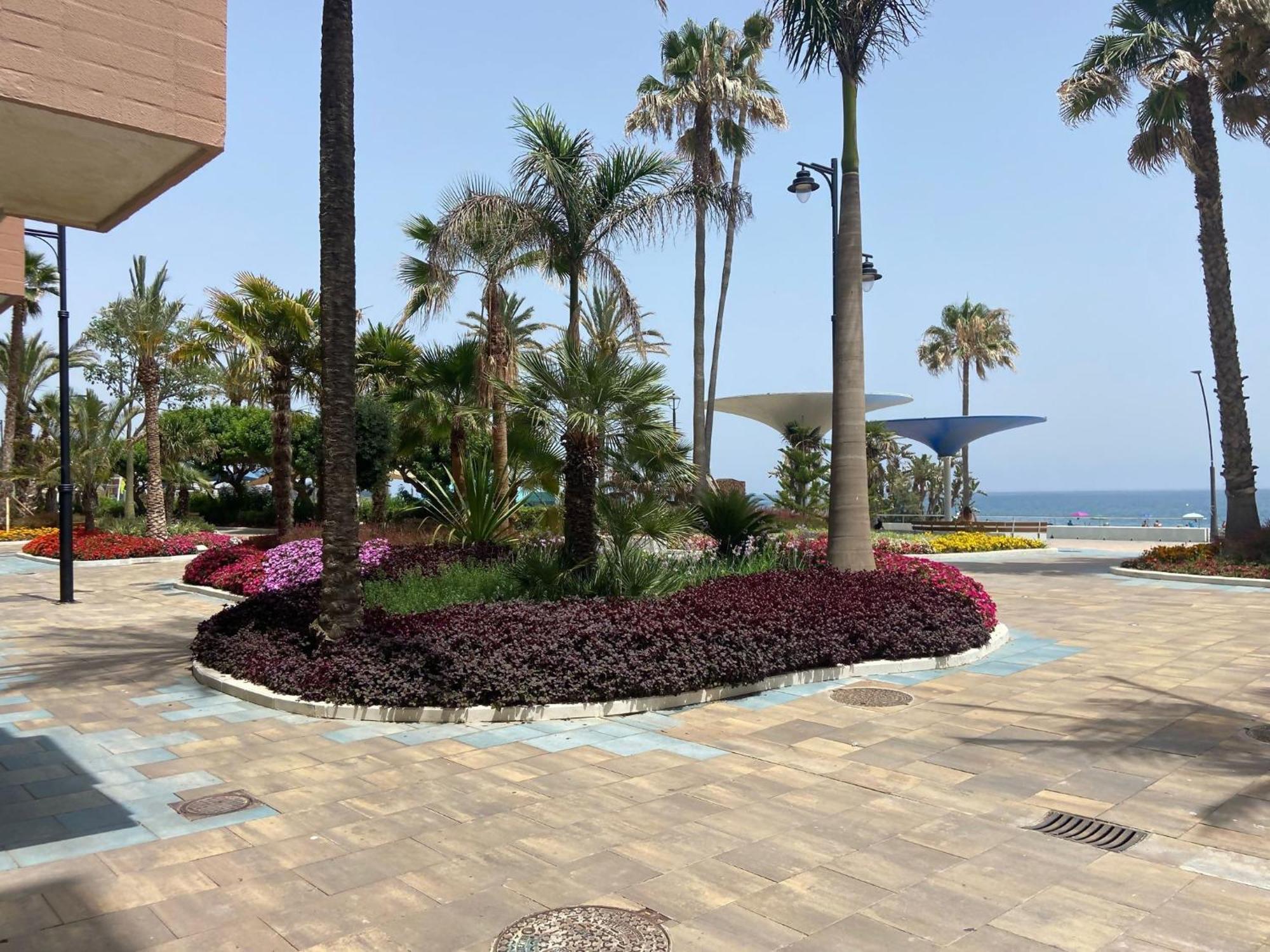 Victoria Home & Parking Estepona Kültér fotó